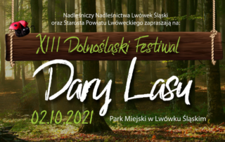 baner - fragment plakatu festiwalowego z napisem XIII Dolnośląski Festiwal Dary Lasu